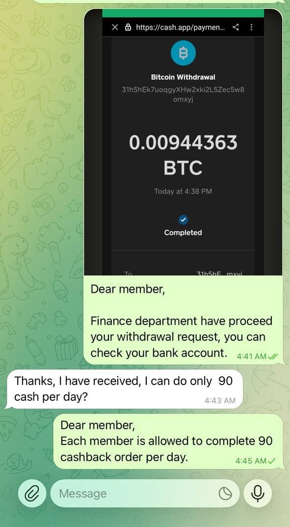 WhatsApp Image 2026-01-31 at 13.05.31